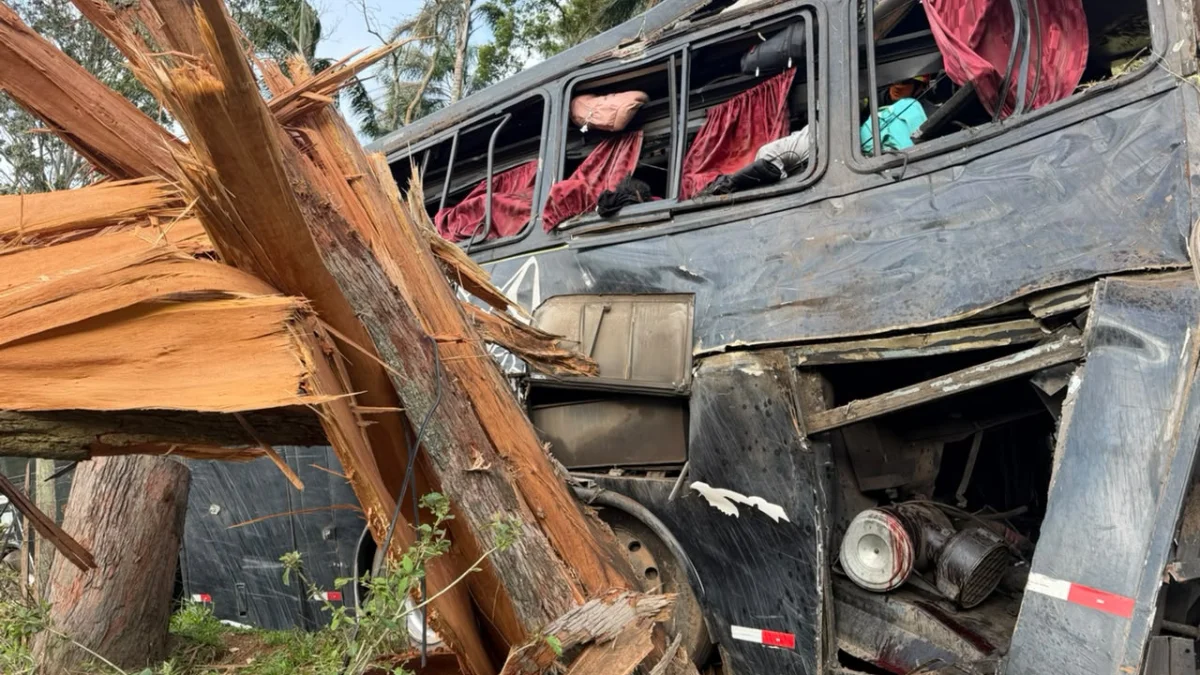 Sobe para 6 o número de mortos após ônibus cair em ribanceira em Cruzeiro