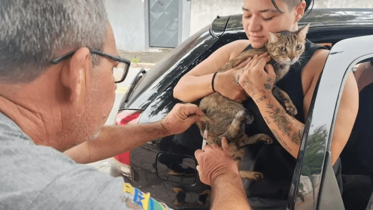 Taubaté realiza vacinação antirrábica de cães e gatos nesta quarta (14).